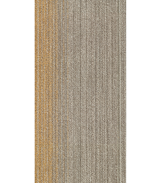 RAY300443